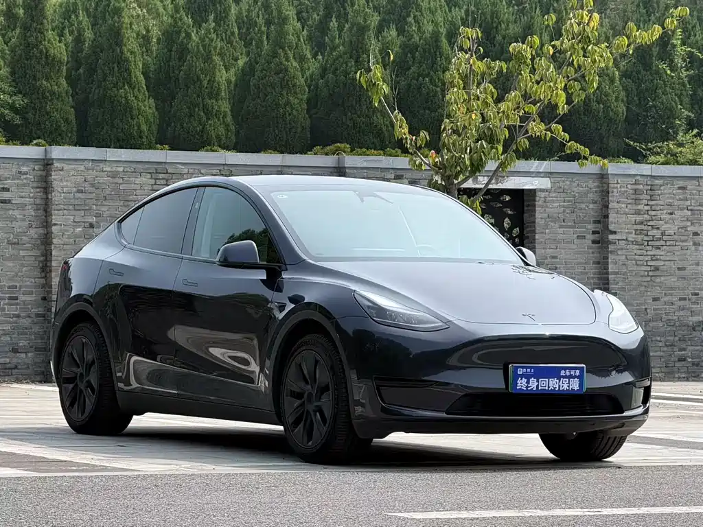 Tesla Model Y — миниатюра 2