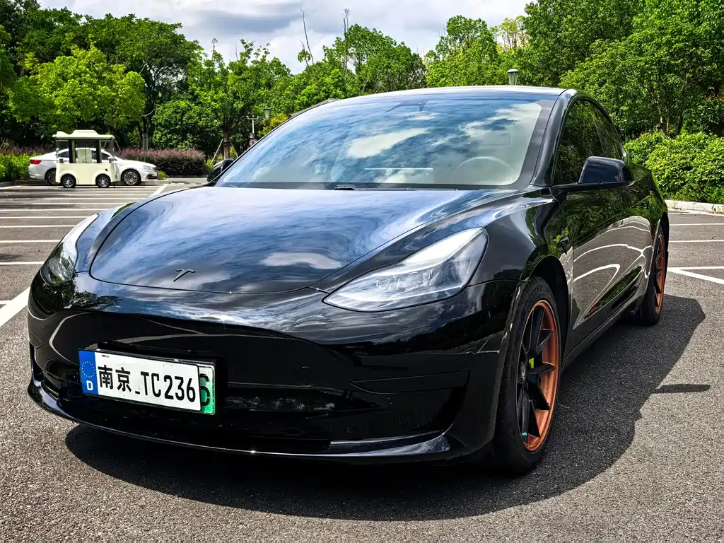 Tesla Model 3 — миниатюра 7
