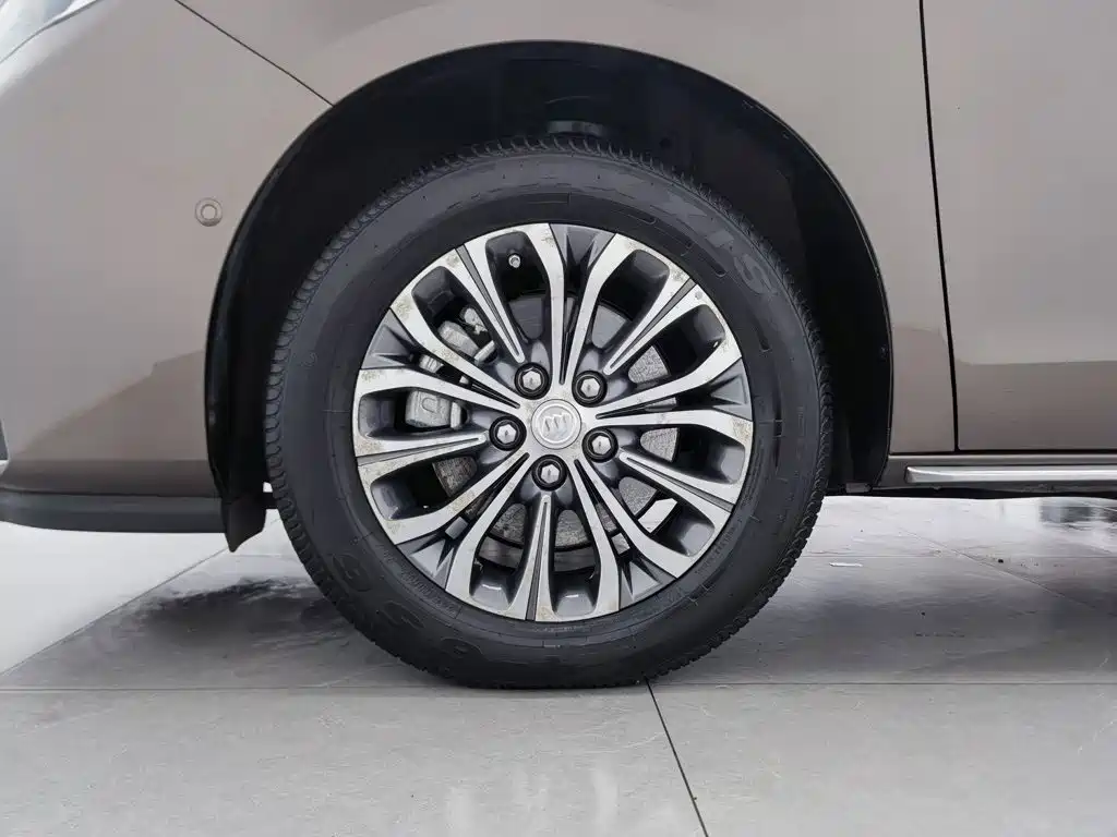 Buick GL8 — миниатюра 17