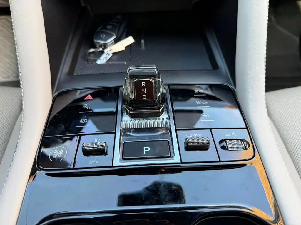 BYD PLUS New Energy — миниатюра 9