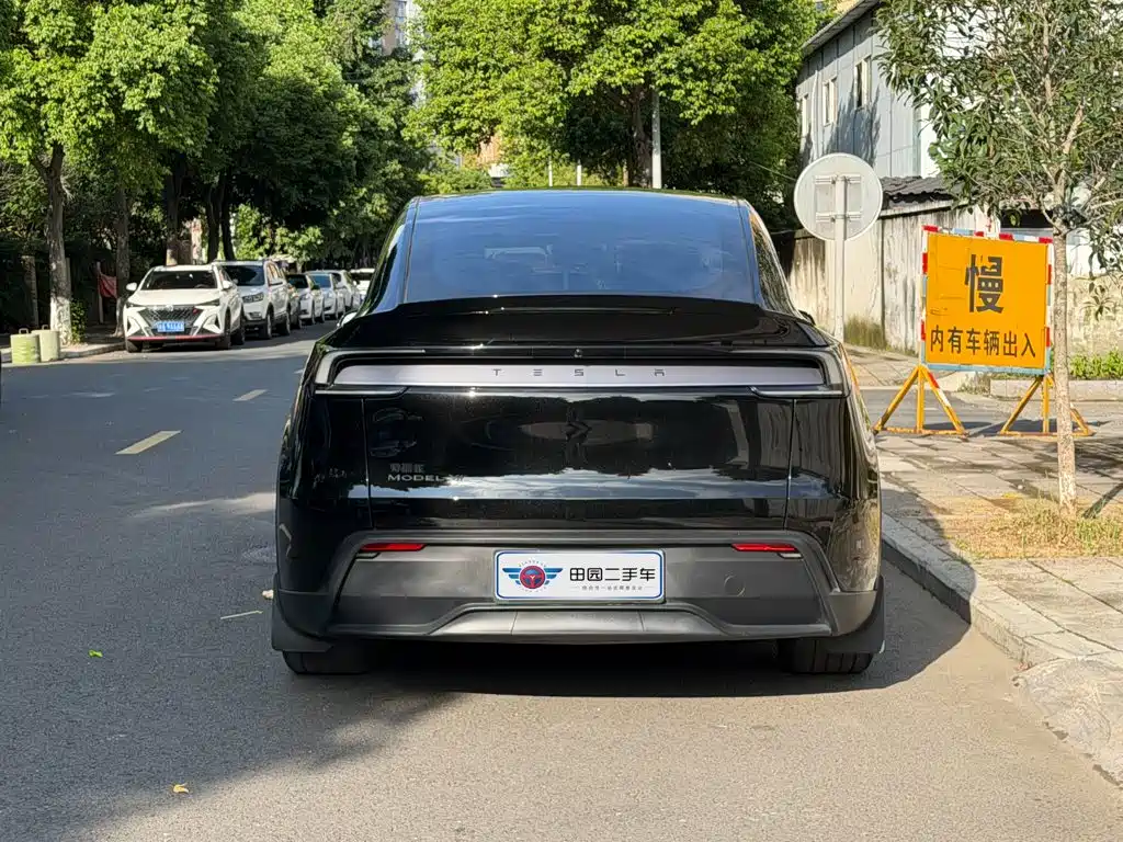 Tesla Model Y — миниатюра 5