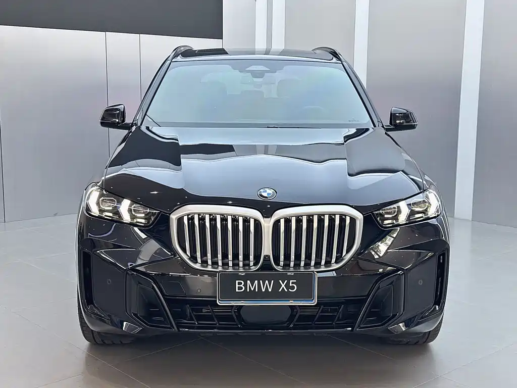 BMW X5 — миниатюра 2
