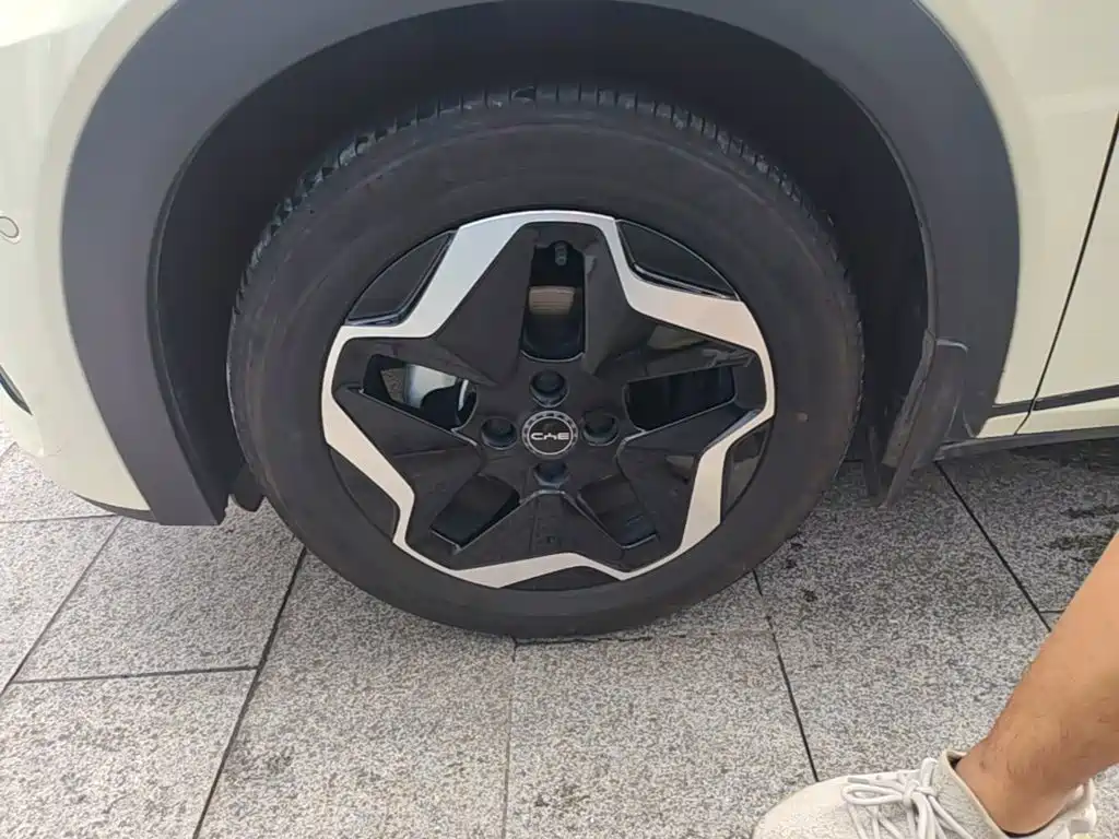 BYD Dolphin — миниатюра 23