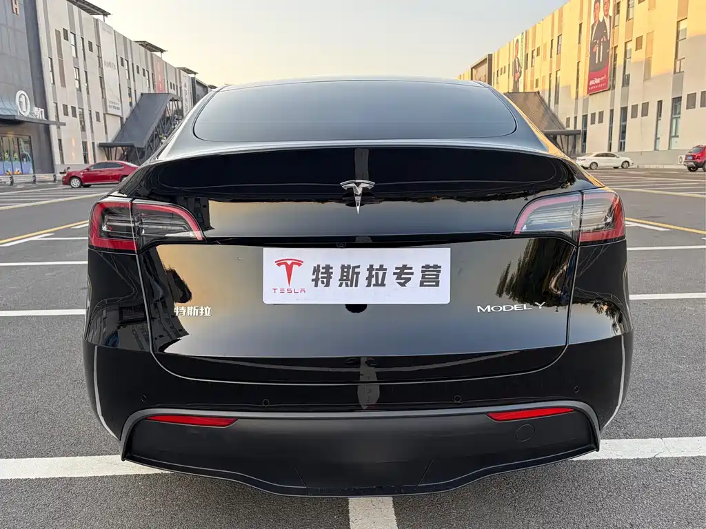 Tesla Model Y — миниатюра 5
