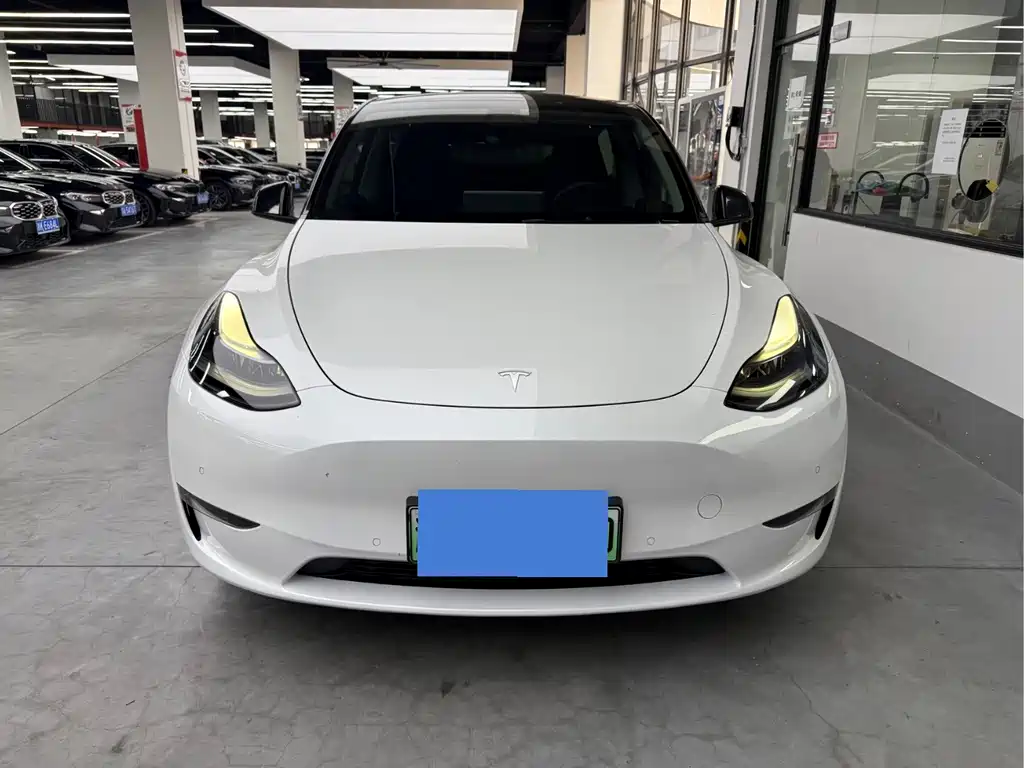 Tesla Model Y — миниатюра 2