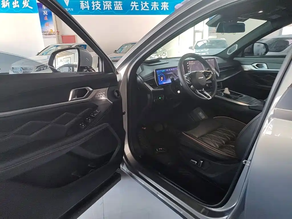 Haval Shenshou — миниатюра 16
