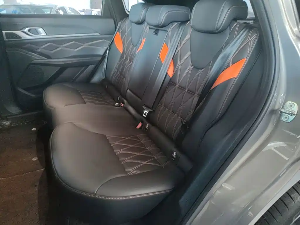 Haval Shenshou — миниатюра 17