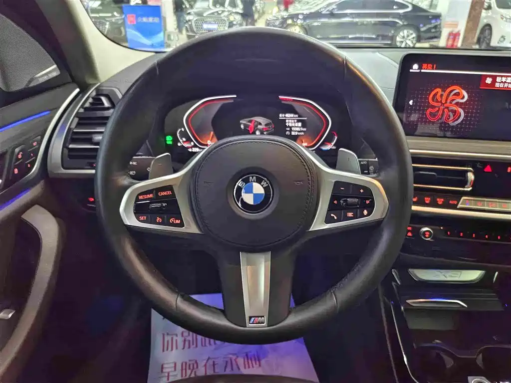 BMW X3 — миниатюра 8