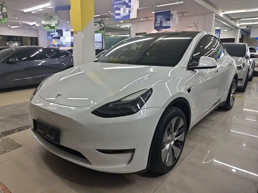 Tesla Model Y — миниатюра 2