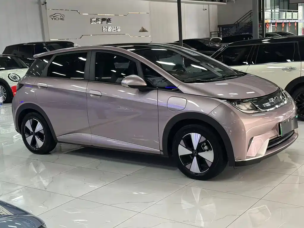 BYD Dolphin — миниатюра 3