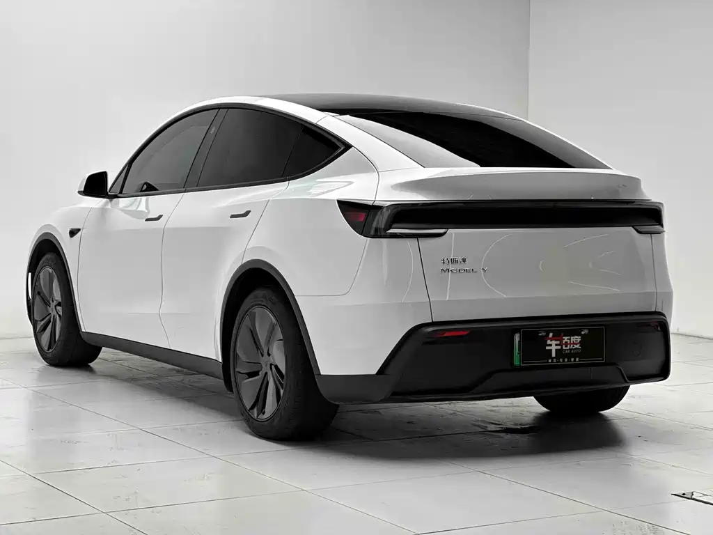 Tesla Model Y — миниатюра 4