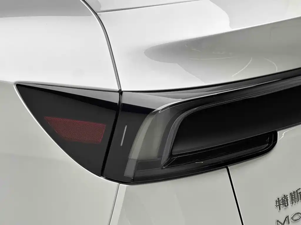 Tesla Model Y — миниатюра 18