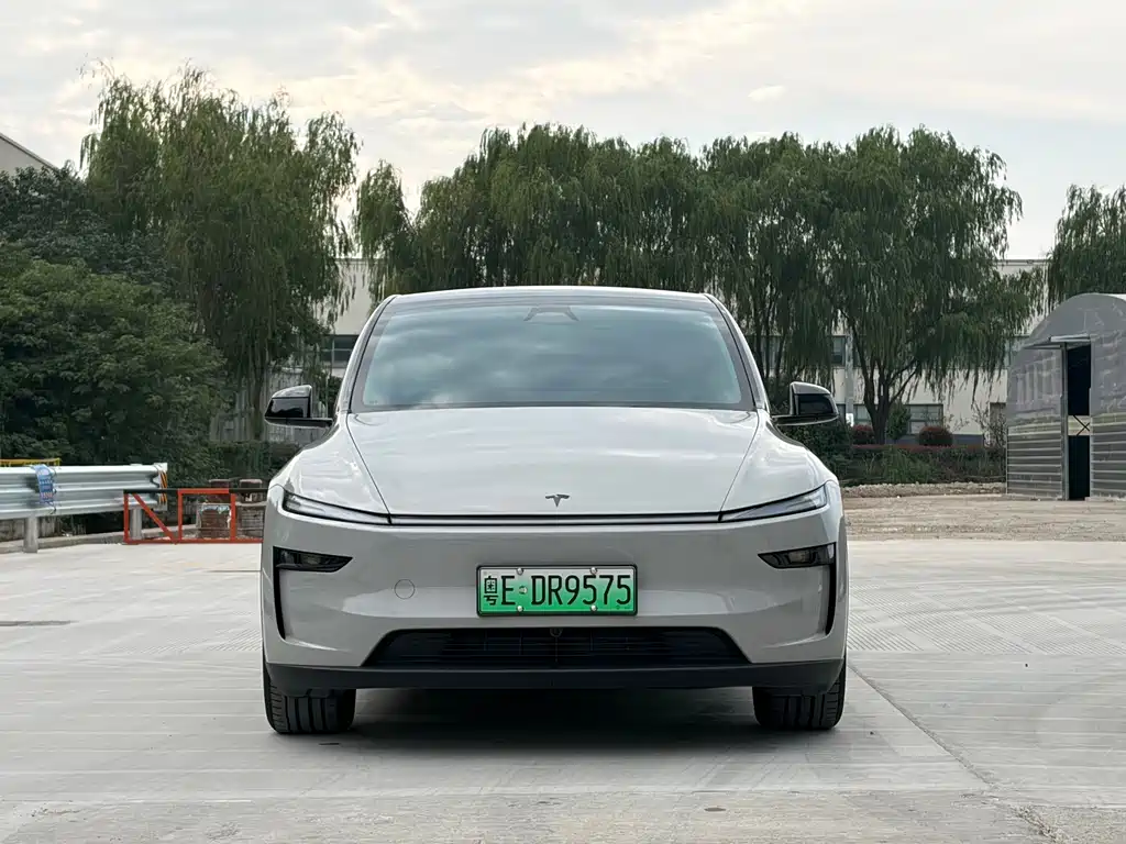 Tesla Model Y — миниатюра 2