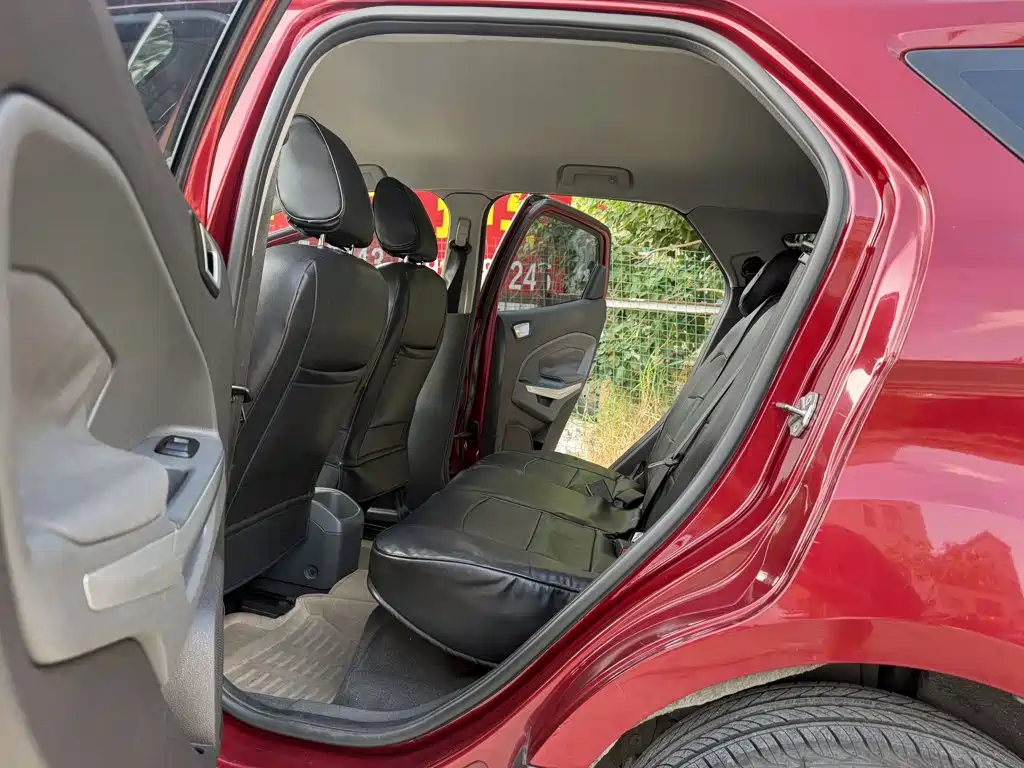 Ford Ecosport — миниатюра 15