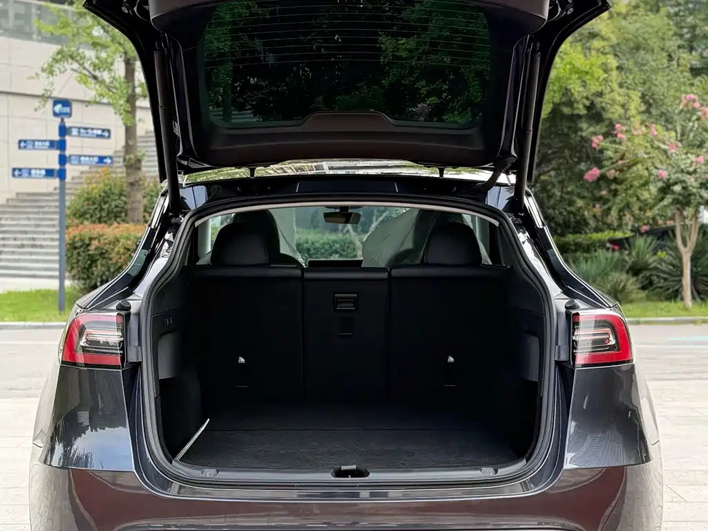 Tesla Model Y — миниатюра 5