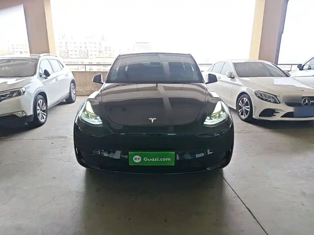 Tesla Model Y — миниатюра 3