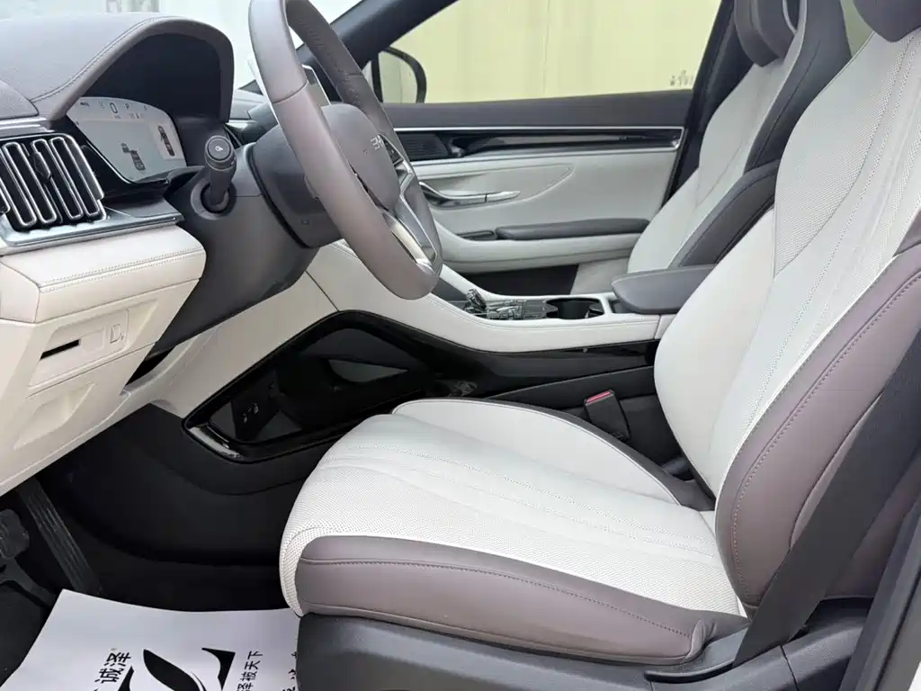 BYD PLUS New Energy — миниатюра 12
