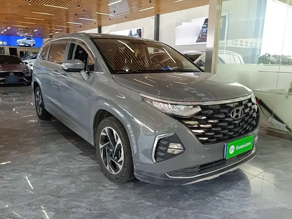 Hyundai Custo — миниатюра 4