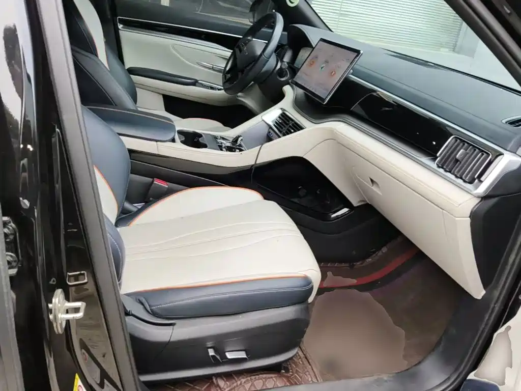 BYD PLUS New Energy — миниатюра 25