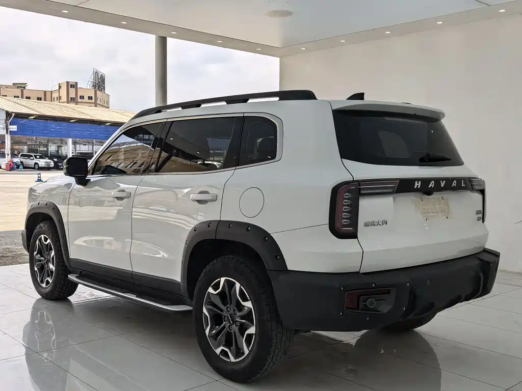 Haval Dargo 2.0T DCT 4WD Xiaotian Dog Edition, фото 15
