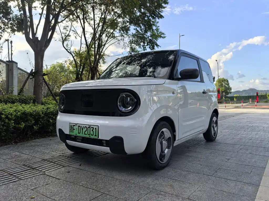 Galaxy Panda