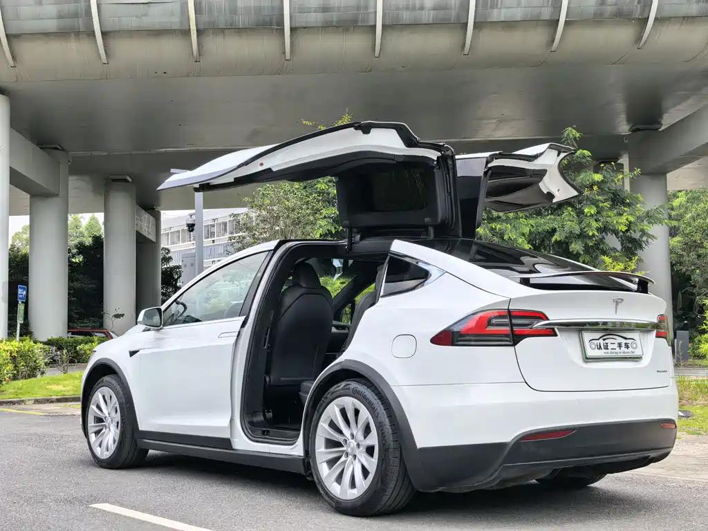 Tesla Model X — миниатюра 9