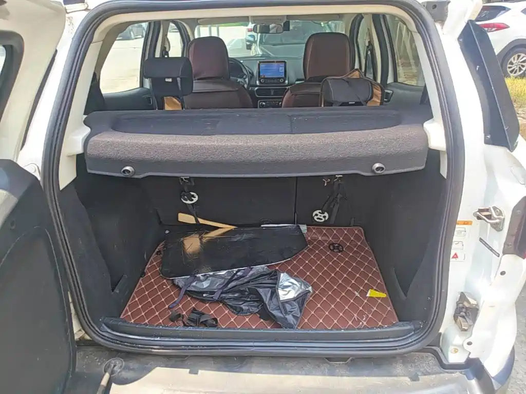 Ford Ecosport — миниатюра 19