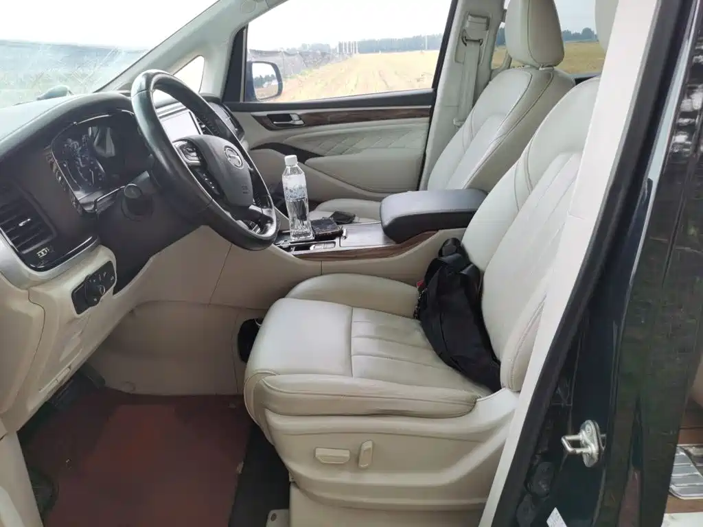 GAC Motor Trumpchi M8 — миниатюра 8