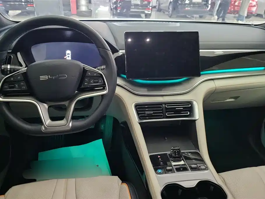 BYD SONGJIANG NEW ENERGY