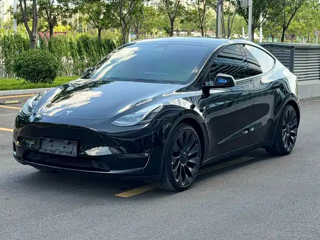 2024 Tesla Model Y