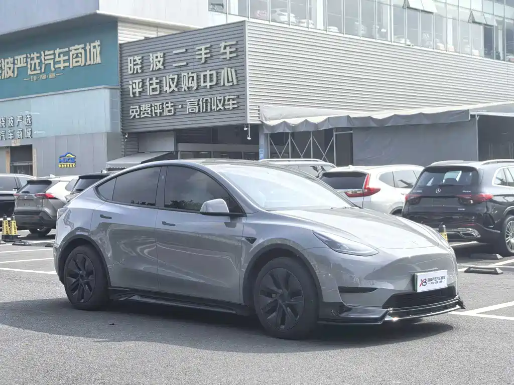 Tesla Model Y — миниатюра 3