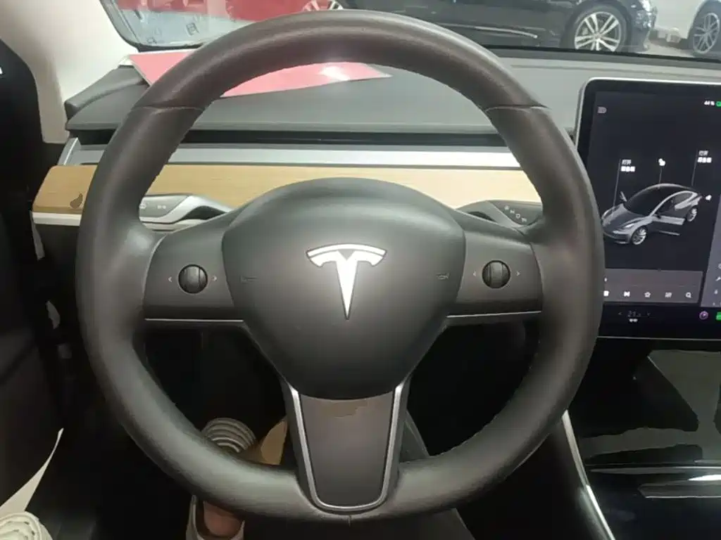 Tesla Model 3 — миниатюра 11