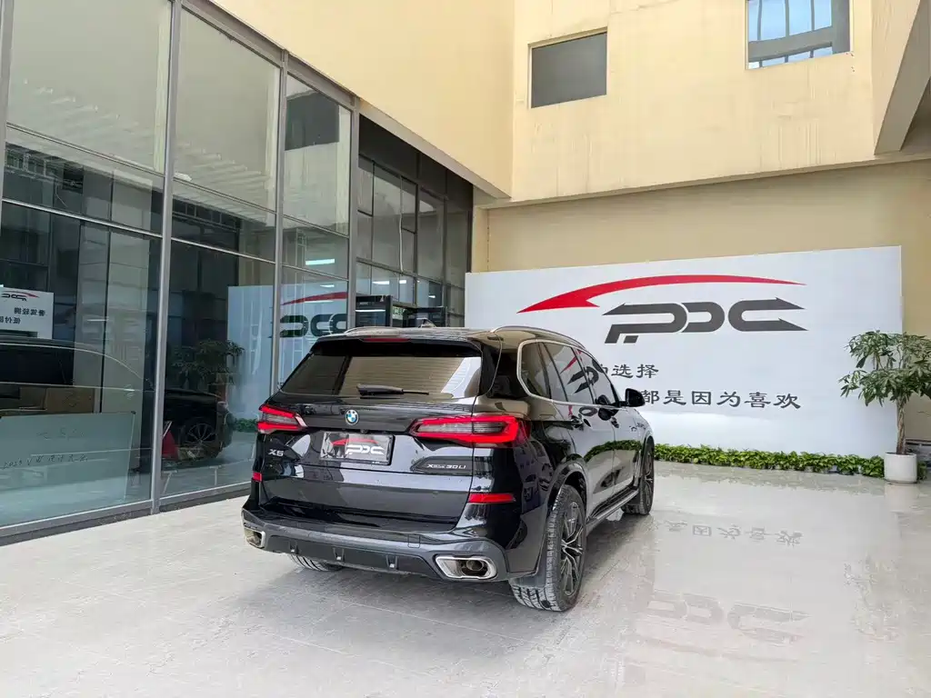 BMW X5 — миниатюра 7
