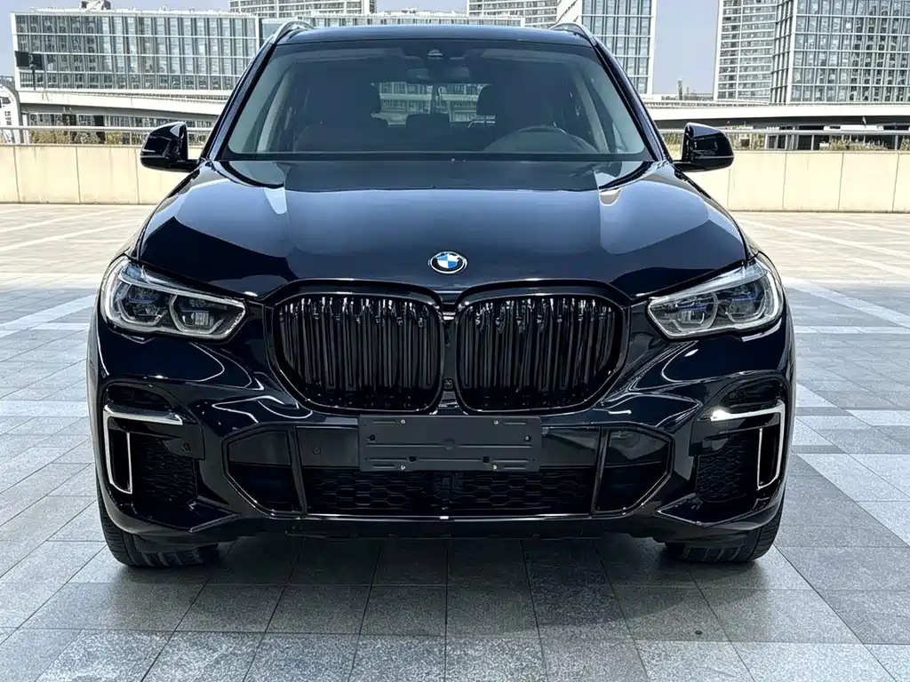 BMW X5 — миниатюра 2