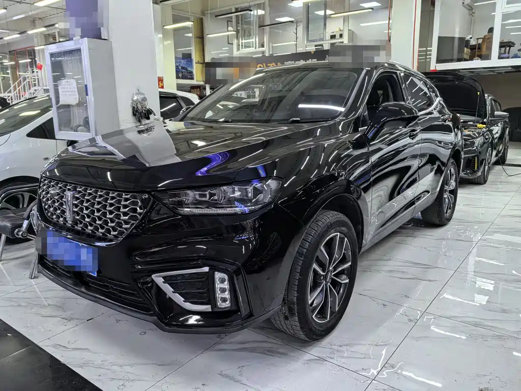 Wey Wey VV5 2020