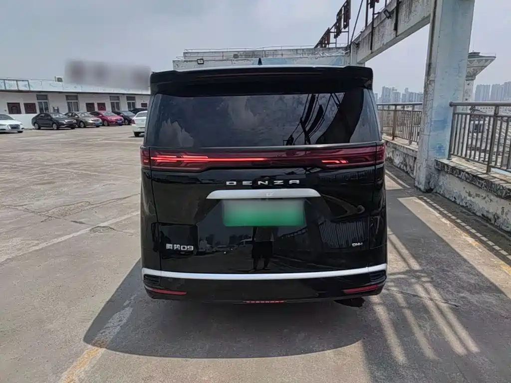 Denza Denza D9 — миниатюра 6