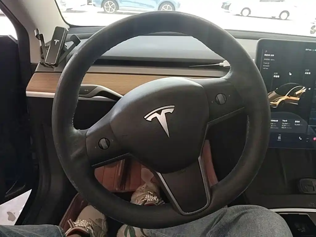 Tesla Model 3 — миниатюра 11