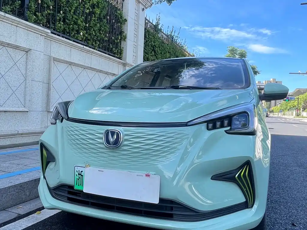 2022 Changan Benni EC/EV - zdjęcie 1 z 12