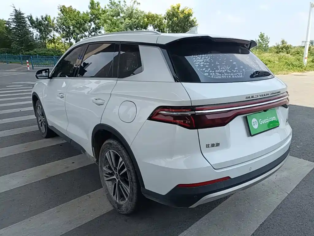 BYD Pro — миниатюра 5