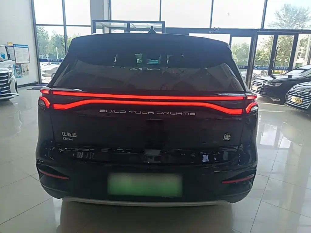 BYD Tang New Energy — миниатюра 6