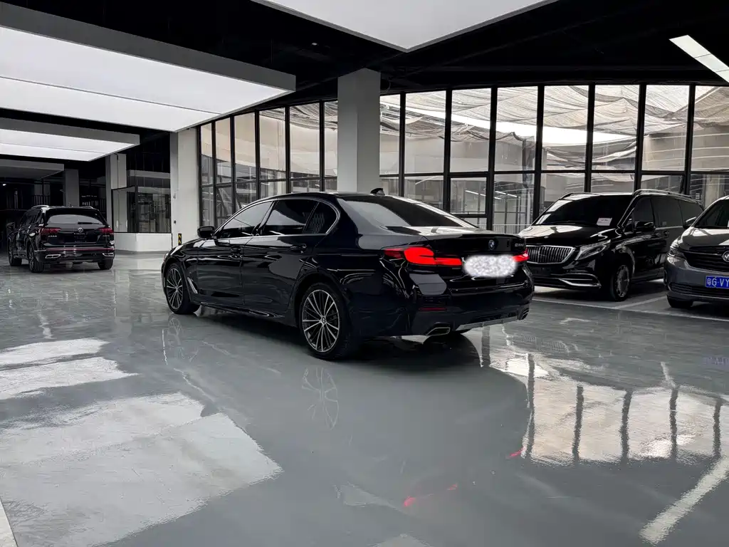 BMW 5 Series — миниатюра 15