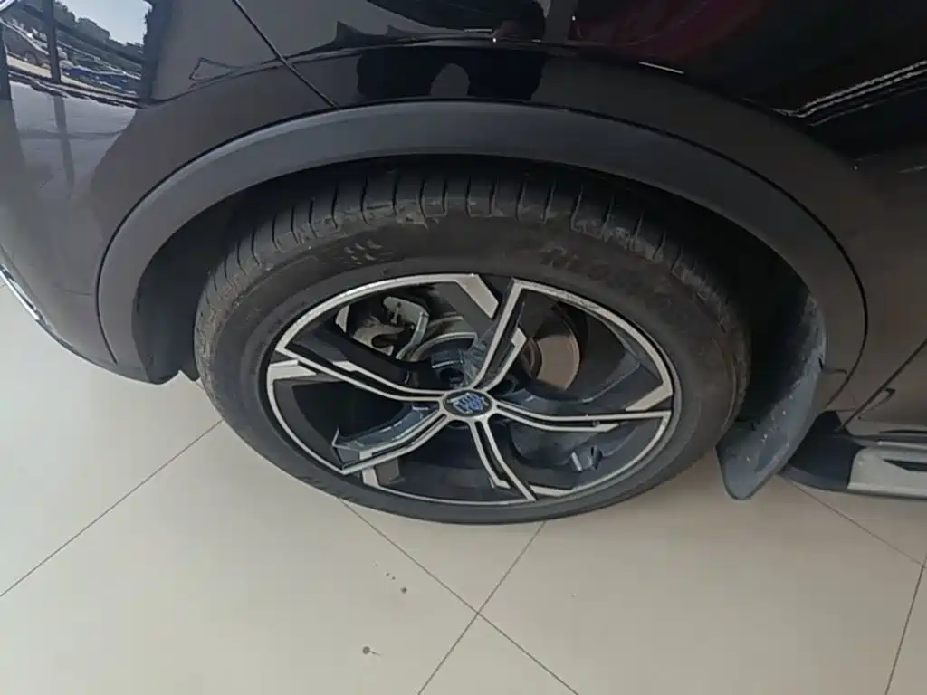 BYD Tang New Energy — миниатюра 23