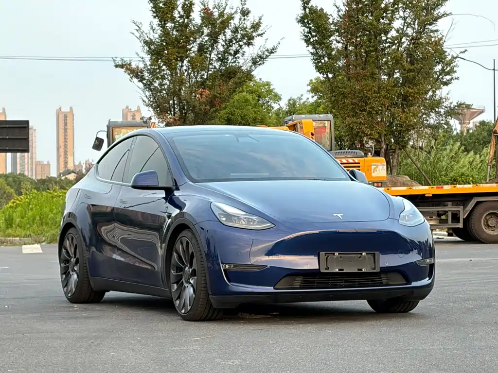 Tesla Model Y — миниатюра 2