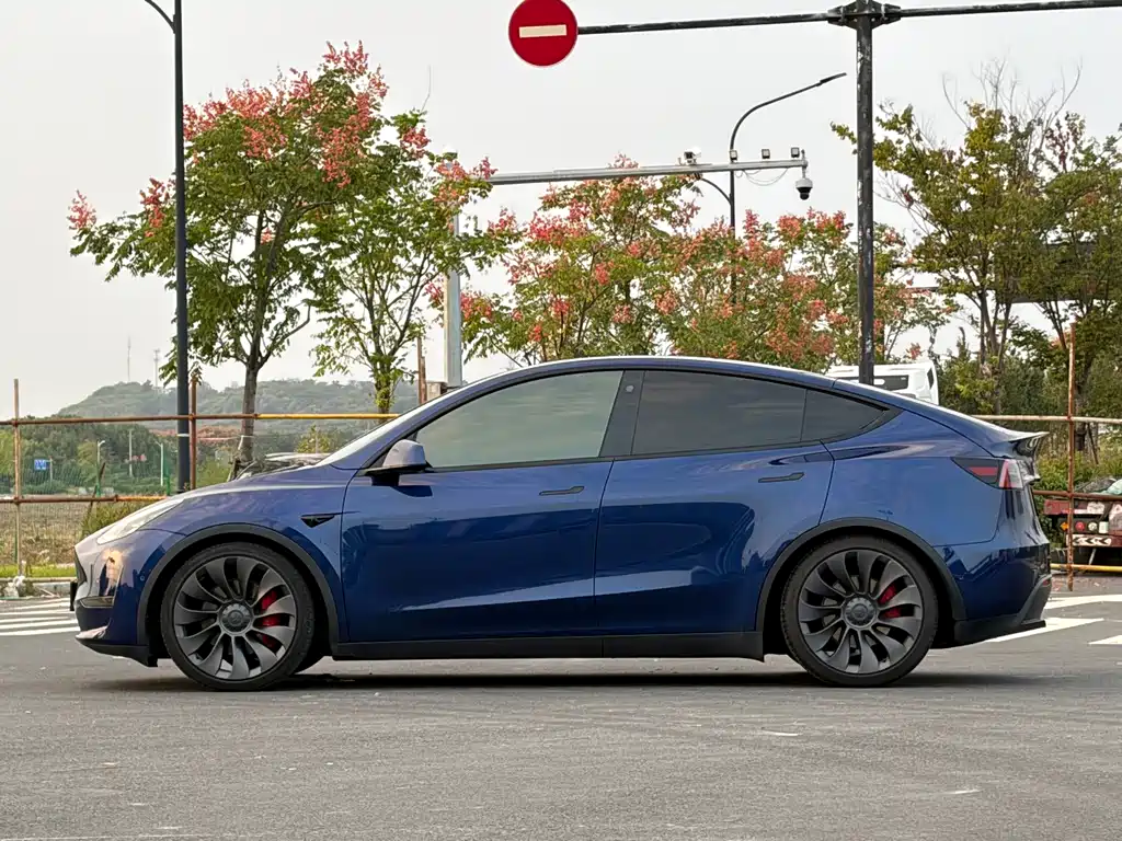 Tesla Model Y — миниатюра 3