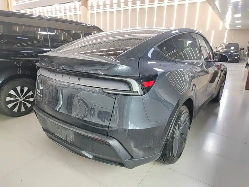 Tesla Model Y — миниатюра 7