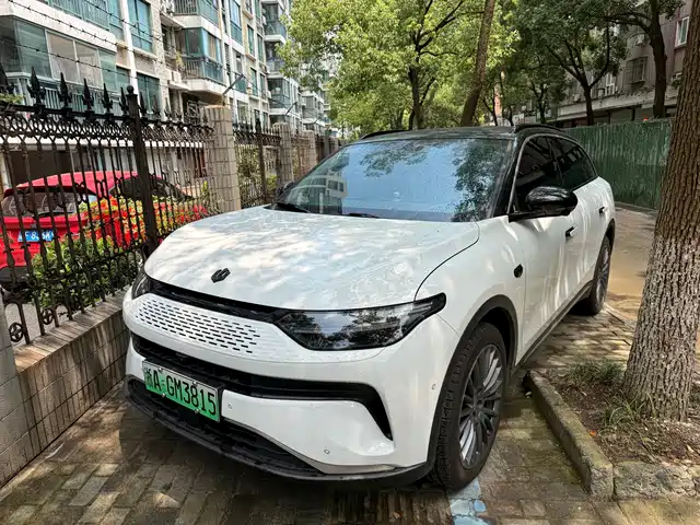 2025 Leapmotor C11