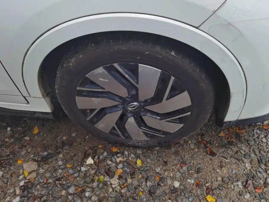 Aion Trumpchi GE3 — миниатюра 6