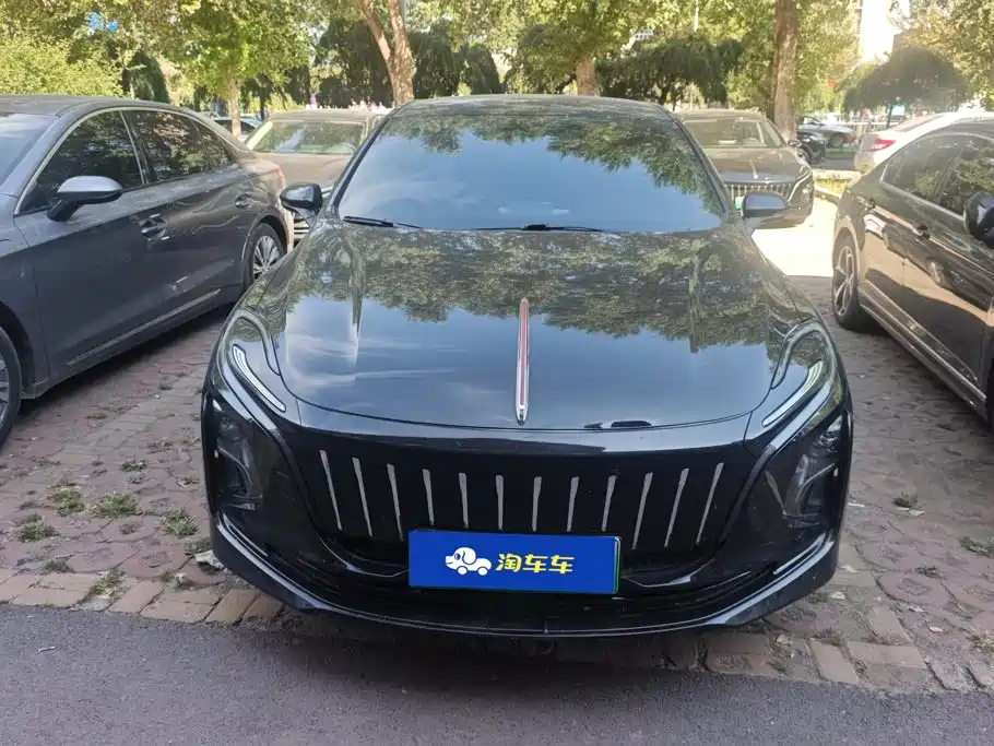 Hongqi Hongqi E-QM5 — миниатюра 2
