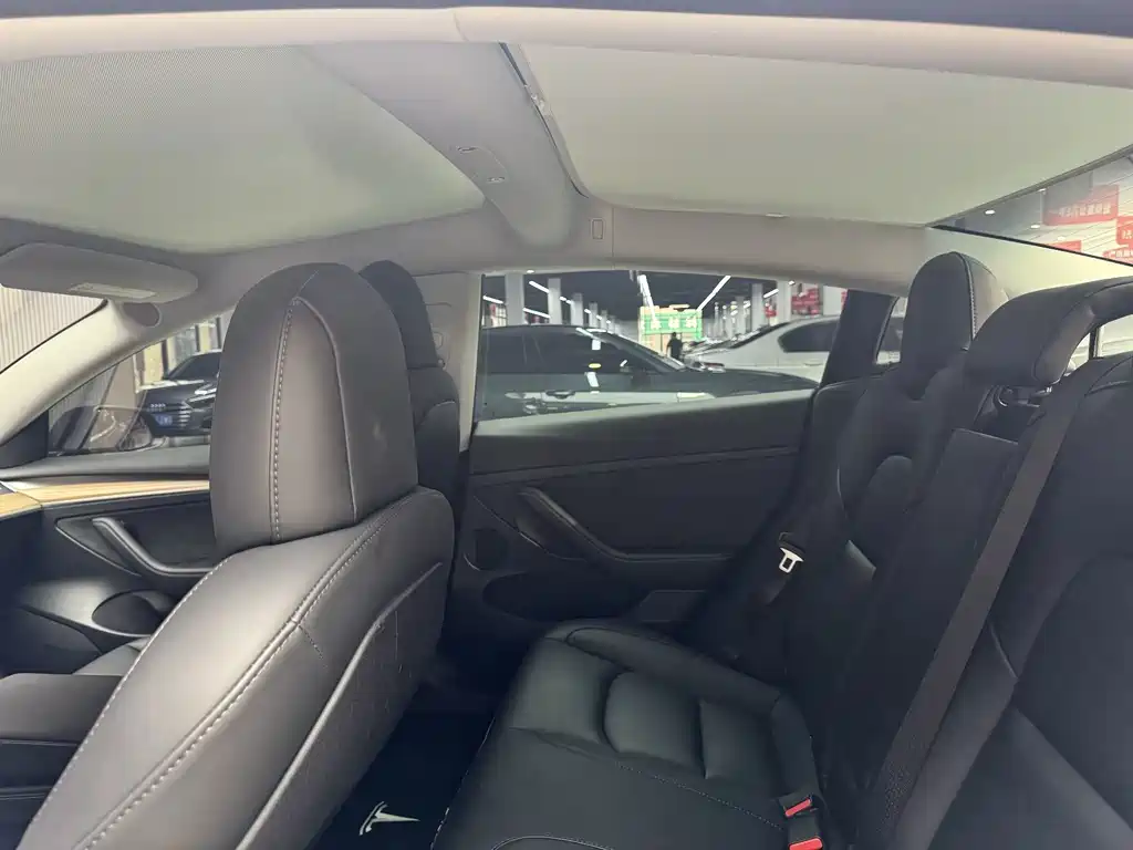 Tesla Model 3 — миниатюра 8