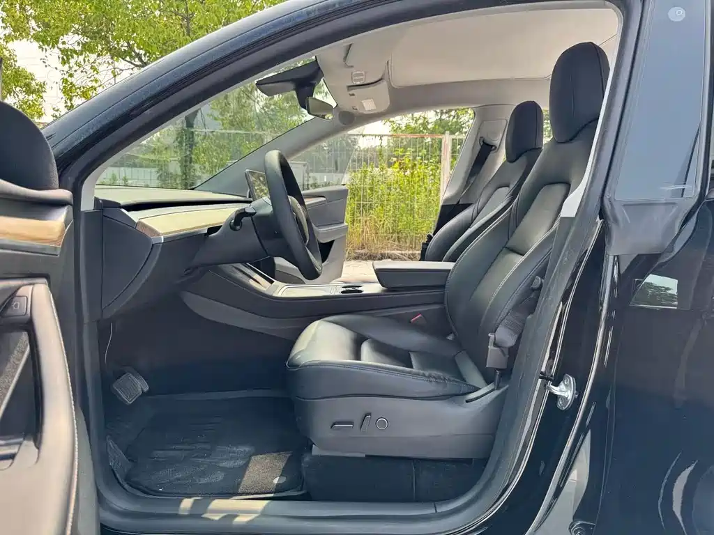 Tesla Model Y — миниатюра 4